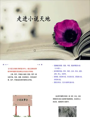 走进小说天地PPT课件1
