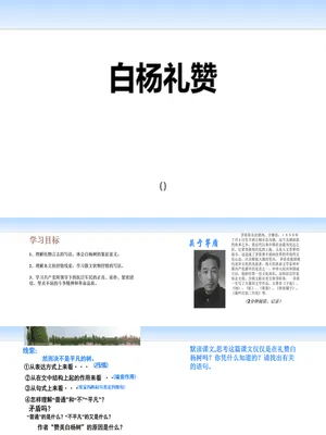 白杨礼赞PPT课件2
