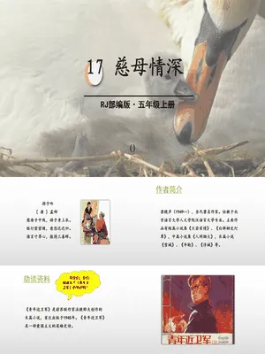 慈母情深PPT课件5