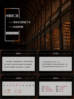 外国诗二首PPT课件2