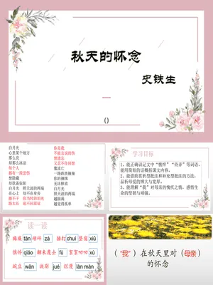 秋天的怀念PPT课件7
