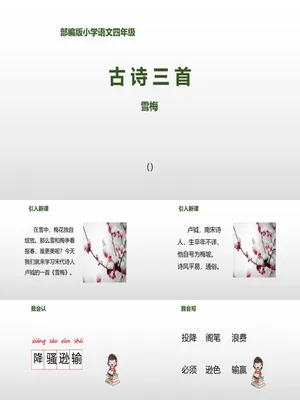 雪梅PPT课件1