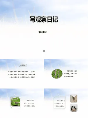 写观察日记PPT课件1