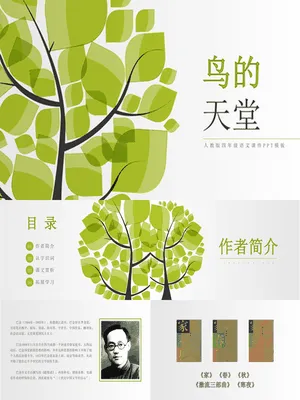 鸟的天堂PPT课件5