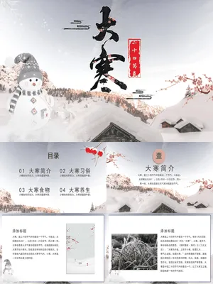 JR0334大寒节气雪中梅花