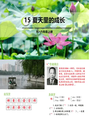 夏天里的成长PPT课件3