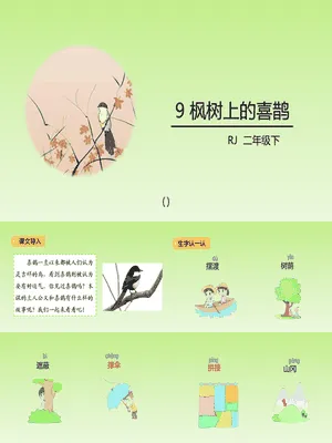 枫树上的喜鹊PPT课件3