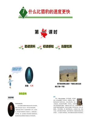 什么比猎豹的速度更快PPT课件2