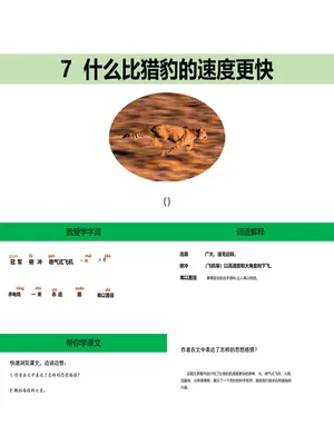什么比猎豹的速度更快PPT课件1
