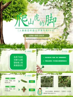 爬山虎的脚PPT课件2