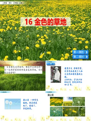 金色的草地PPT课件7