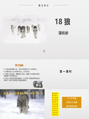 狼PPT课件6