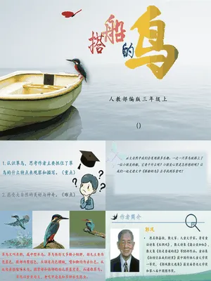 搭船的鸟PPT课件7