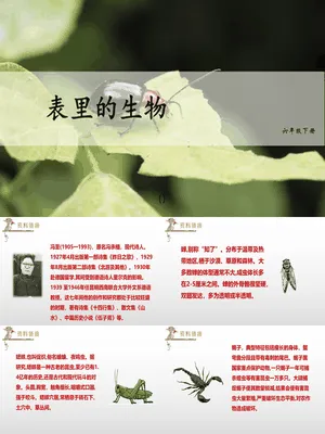 表里的生物PPT课件7