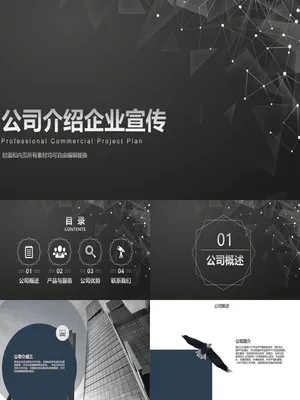 P53212企业宣传介绍