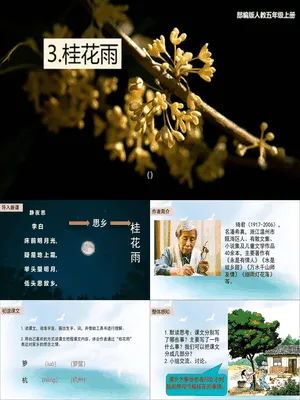 桂花雨PPT课件8