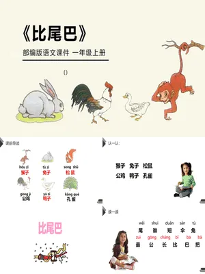 比尾巴PPT课件6