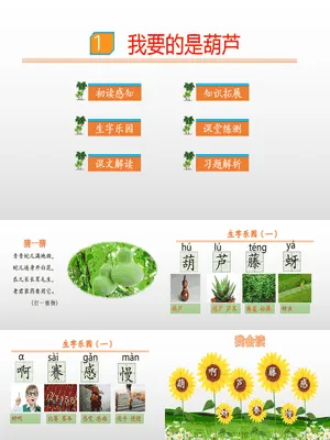 我要的是葫芦PPT课件6