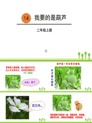 我要的是葫芦PPT课件8