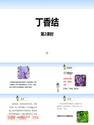 丁香结PPT课件2