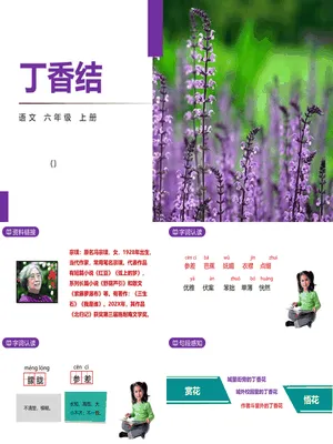 丁香结PPT课件7