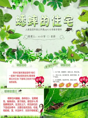 蟋蟀的住宅PPT课件4