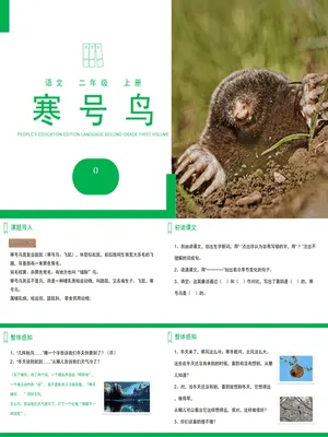 寒号鸟PPT课件4