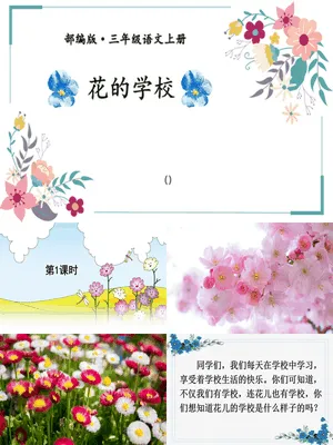 花的学校PPT课件5