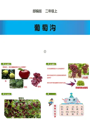 葡萄沟PPT课件5