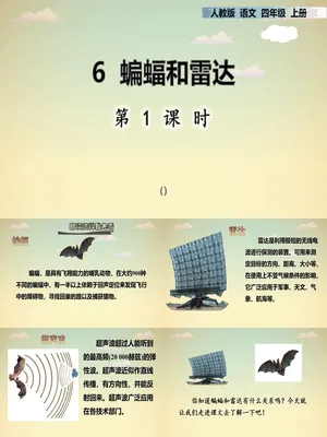 蝙蝠与雷达PPT课件7