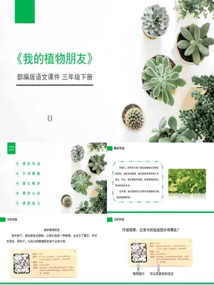 我的植物朋友PPT课件8