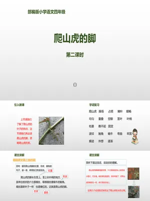 爬山虎的脚PPT课件5