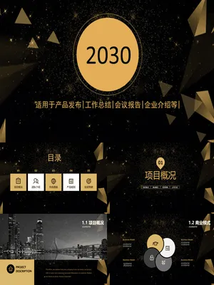 高端黑金商务汇报