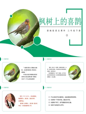 枫树上的喜鹊PPT课件2