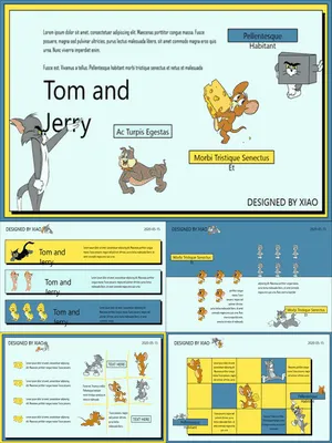 Tom and Jerry猫和老鼠