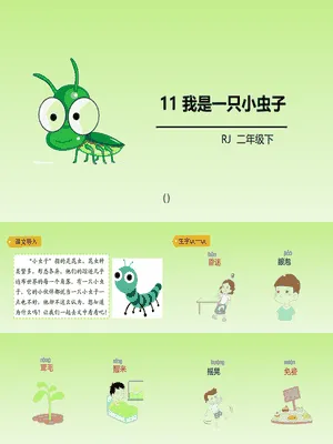 我是一只小虫子PPT课件3