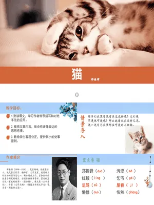 《猫》PPT课件7