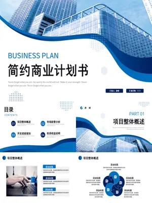 SY00027商业计划书