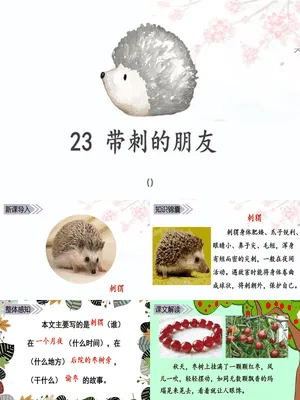 带刺的朋友PPT课件4
