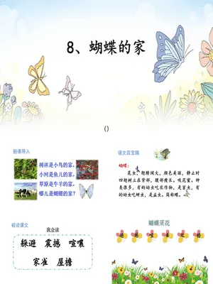 蝴蝶的家PPT课件6