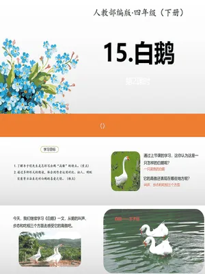 白鹅PPT课件3