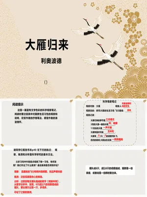 大雁归来PPT课件3