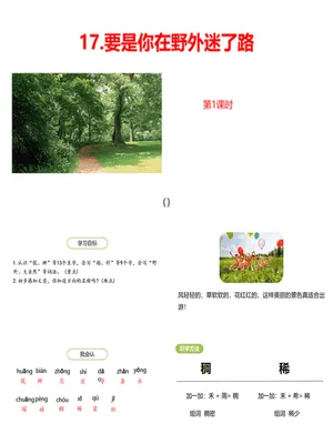 要是你在野外迷了路PPT课件7