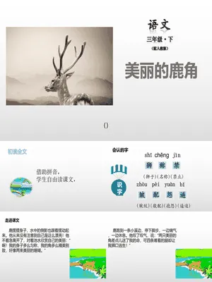 美丽的鹿角PPT课件1