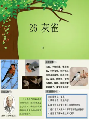灰雀PPT课件5