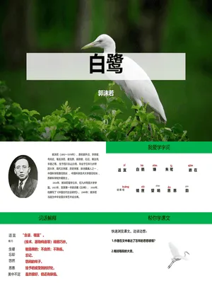 白鹭PPT课件1
