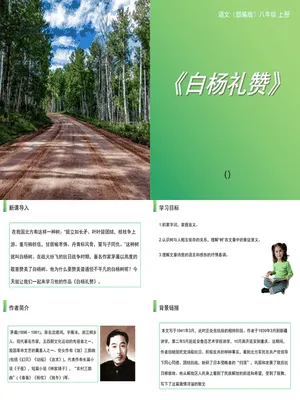 白杨礼赞PPT课件5