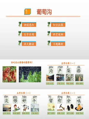 葡萄沟PPT课件8