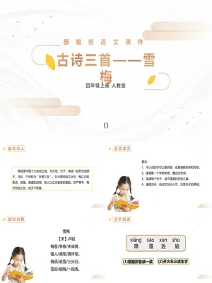雪梅PPT课件2