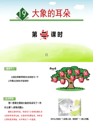 大象的耳朵PPT课件6